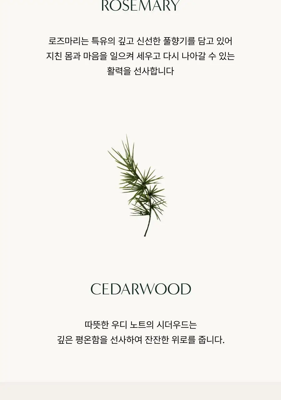 [헤어+바디] 아로마티카 바이탈라이징 로즈마리 올인원 바디워시 300ml 상세페이지 4